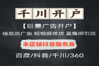 网络推广策略：竞价广告的实践案例